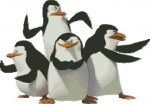 Пингвины из Мадагаскара
