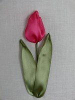 Вариация тюльпана