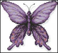 Бабочки, насекомые