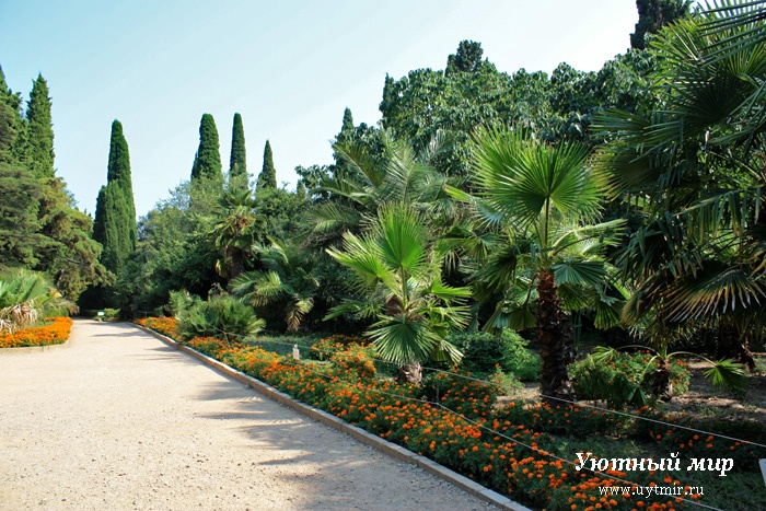 Никитский ботанический сад в Ялте где отдохнуть в крыму Приморский парк